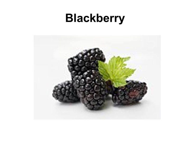 Blackberry